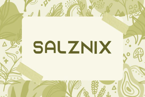 Salzaix: A Quirky Font to Brighten Your Designs